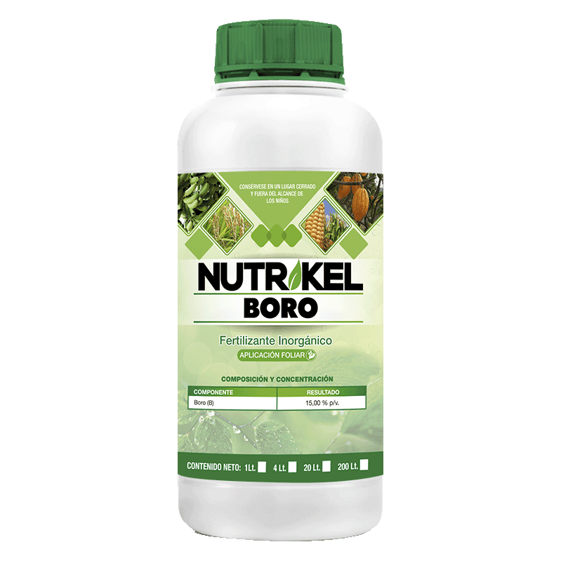 nurikel boro
